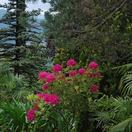 Le Ortensie -lago Di B&B 리에르나