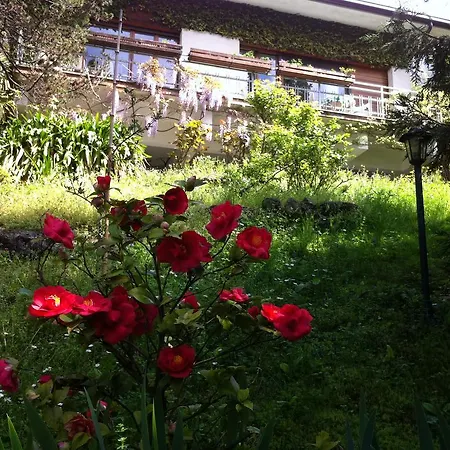 Bed & Breakfast Le Ortensie -lago Di Lierna