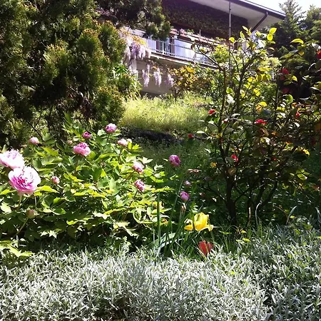 Le Ortensie -lago Di Bed & Breakfast