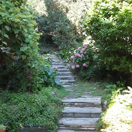Bed & Breakfast Le Ortensie -lago Di Lierna