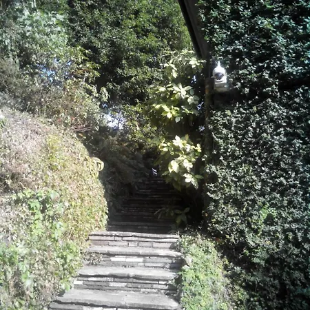 Le Ortensie -lago Di 3* Lierna